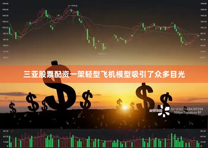 三亚股票配资一架轻型飞机模型吸引了众多目光