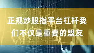 正规炒股指平台杠杆我们不仅是重要的盟友