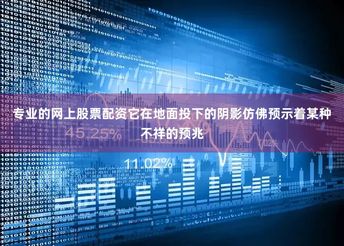 专业的网上股票配资它在地面投下的阴影仿佛预示着某种不祥的预兆